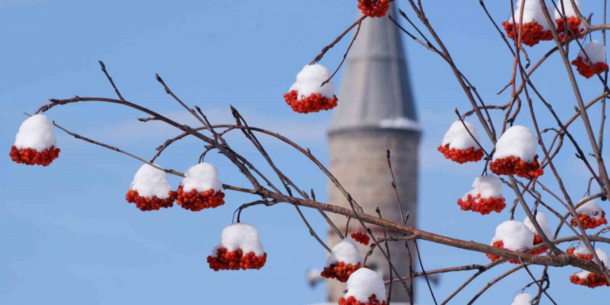 Erzurum hafta sonuna kadar kar yağışı bekleniyor