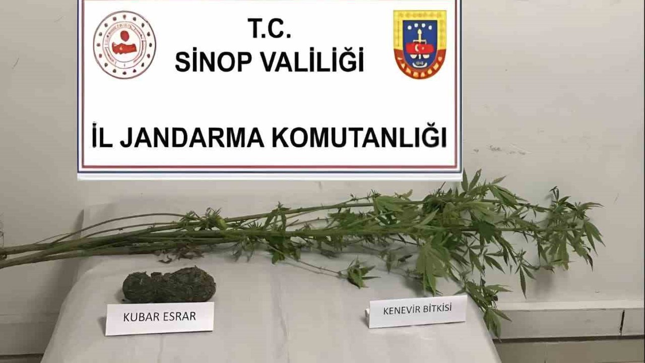 Sinop’ta kenevir ve kubar esrar ele geçirildi
