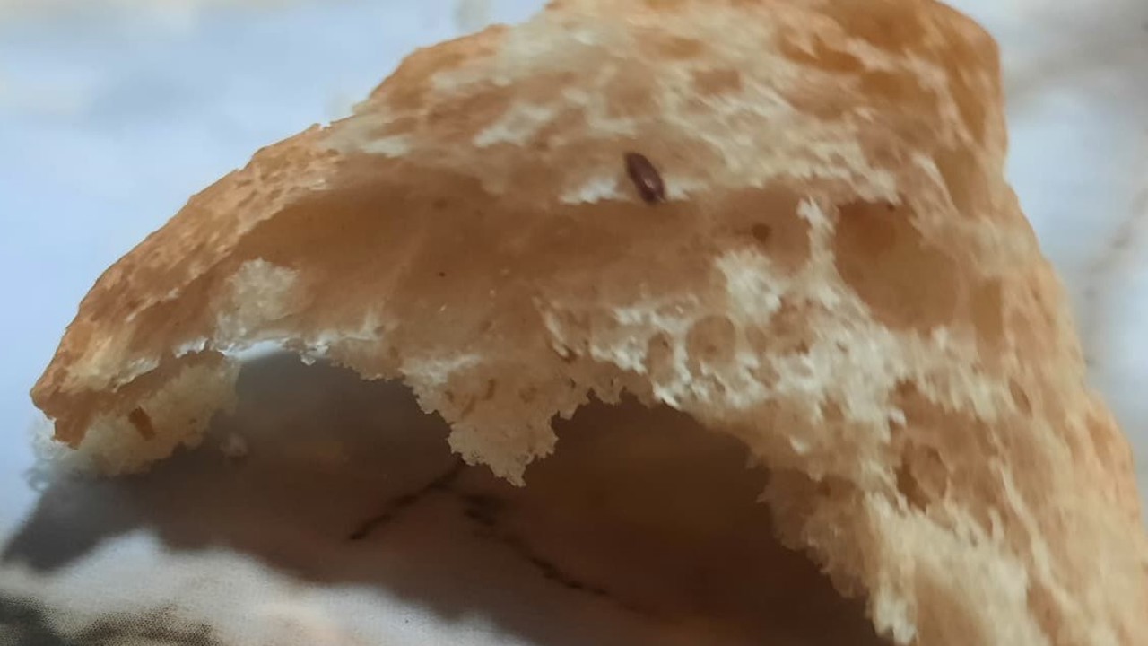 Pamukkale Halk Ekmek’in içerisinden çıkan fare dışkısı ve un kurdu yeni doğum yapan anneyi sütten kesti
