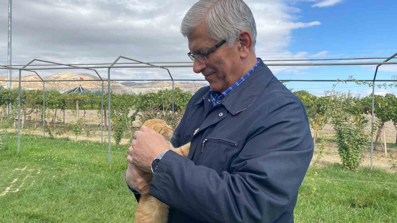 TVHB Genel Başkanı Eroğlu: "Hayvanlara verilen zarar, onlara yapılan işkence insanlık dışı şeylerdir"

