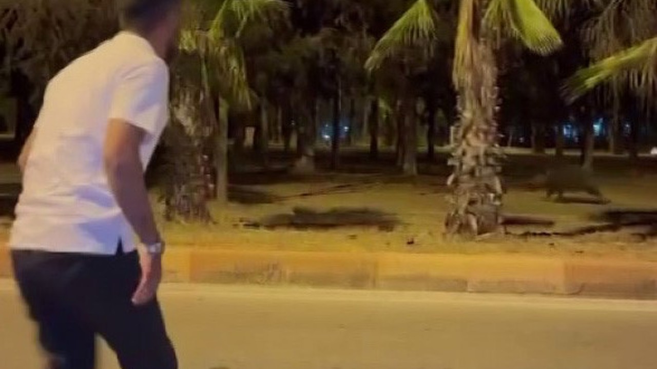 Çukurova Üniversitesi’nin yapamadığını vatandaş havlayarak yaptı domuzlar kaçtı
