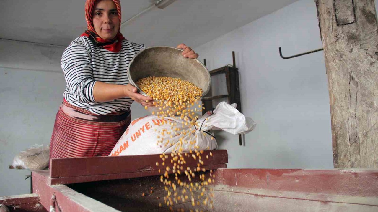 Zamana direnen çarklar
