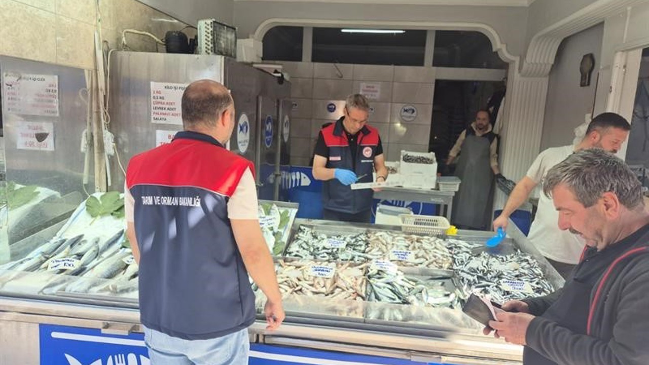 Düzce’de su ürünleri denetimi: Yasal boy altındaki 11 kasa balığa el konuldu
