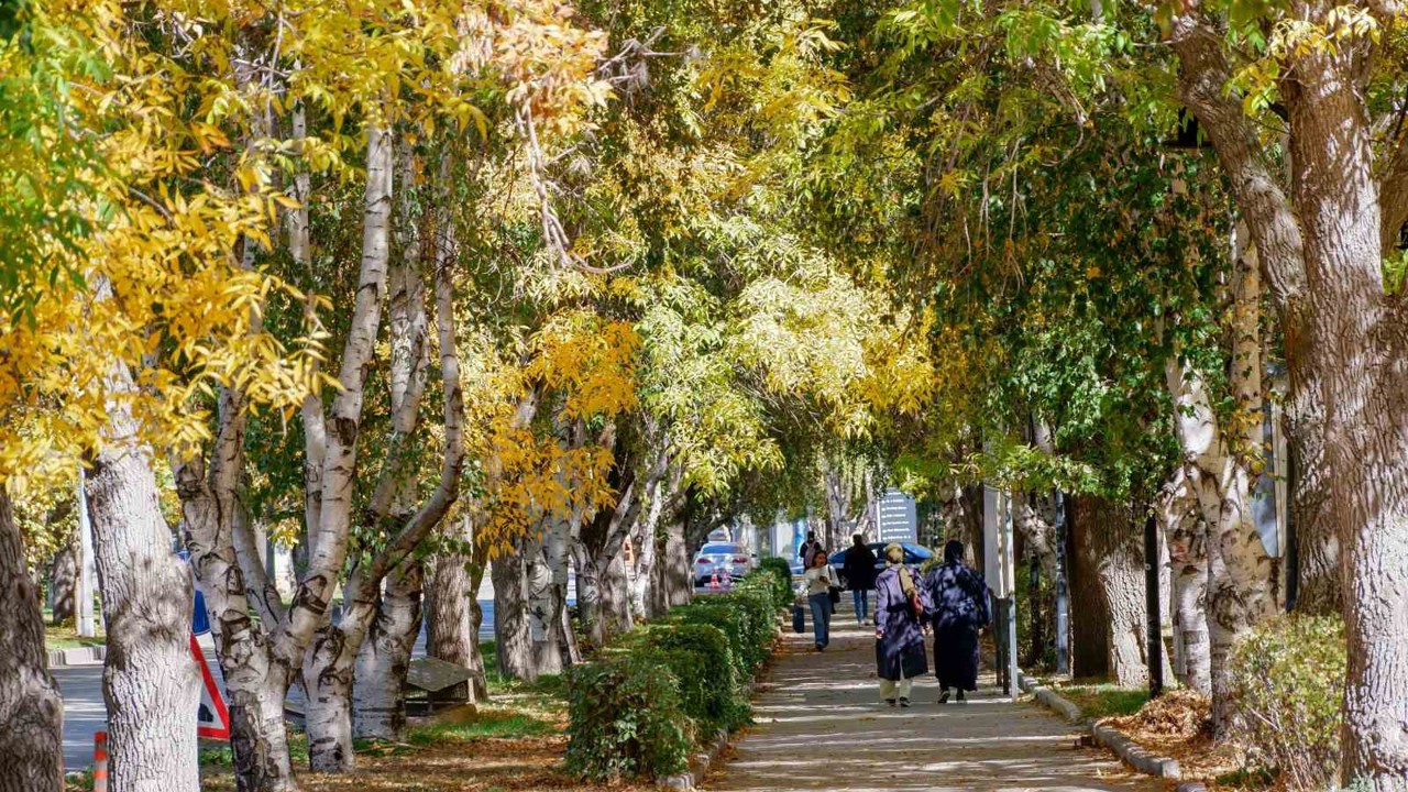 Meteorolojiden kuvvetli rüzgar ve kar uyarısı
