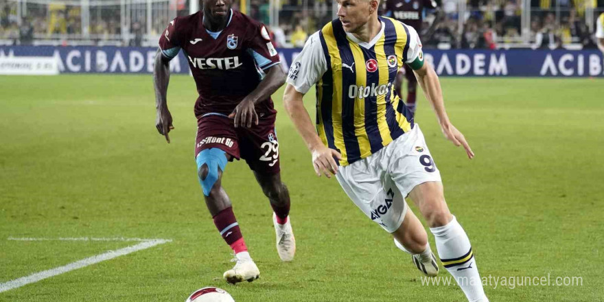 Spor