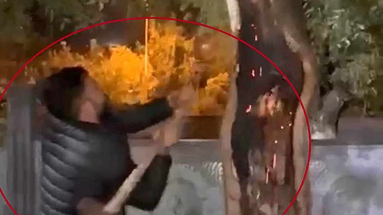Yanan ağacı önce kesmeye çalıştı, sonra su kovası ve ibrikle söndürdü

