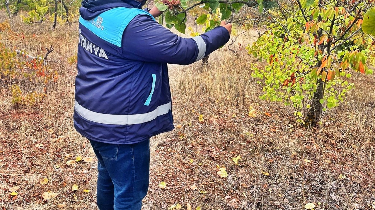 Emet’te uydu takibi yapılan arazilerde fiziki kontroller yapıldı
