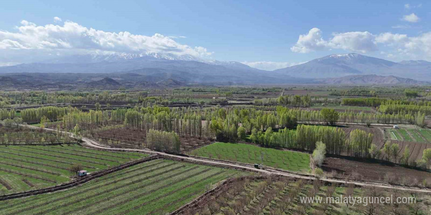 Yaşam