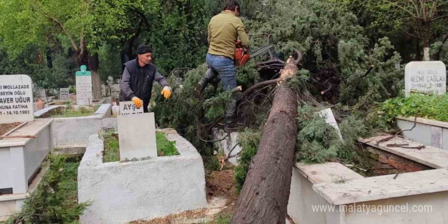 Yaşam