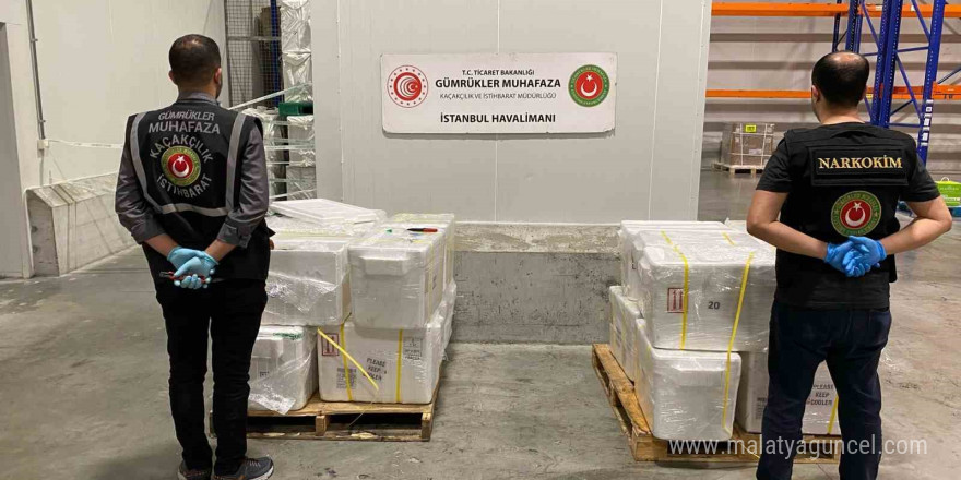 Asayiş