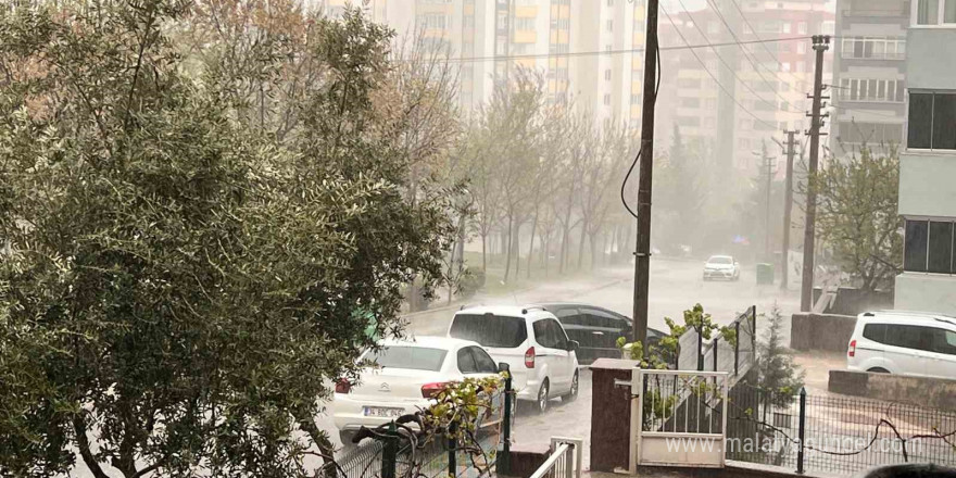 Yaşam
