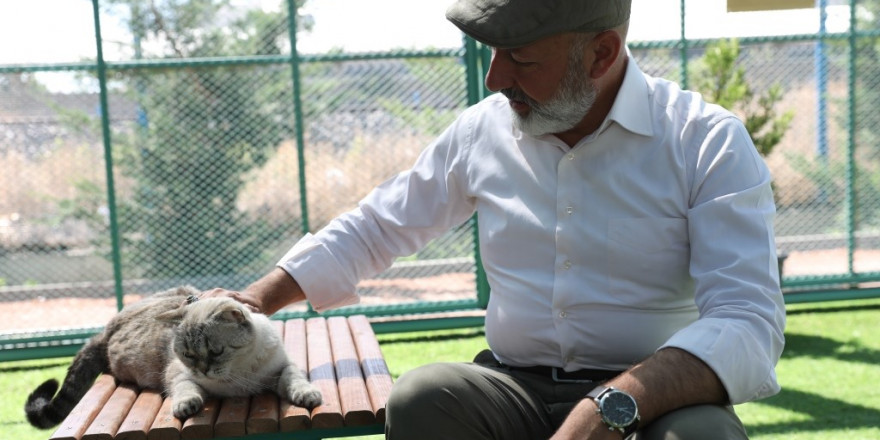 Kayseri’de ilk olan Küçük Dostlar Kedi Kasabası’na bir yılda rekor ziyaret