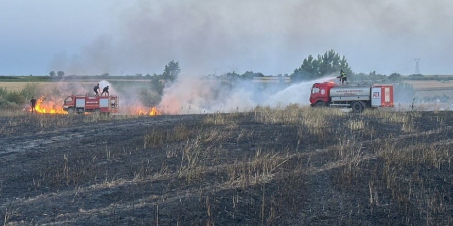 Kırklareli’nde yangın: 20 dönüm buğday küle döndü