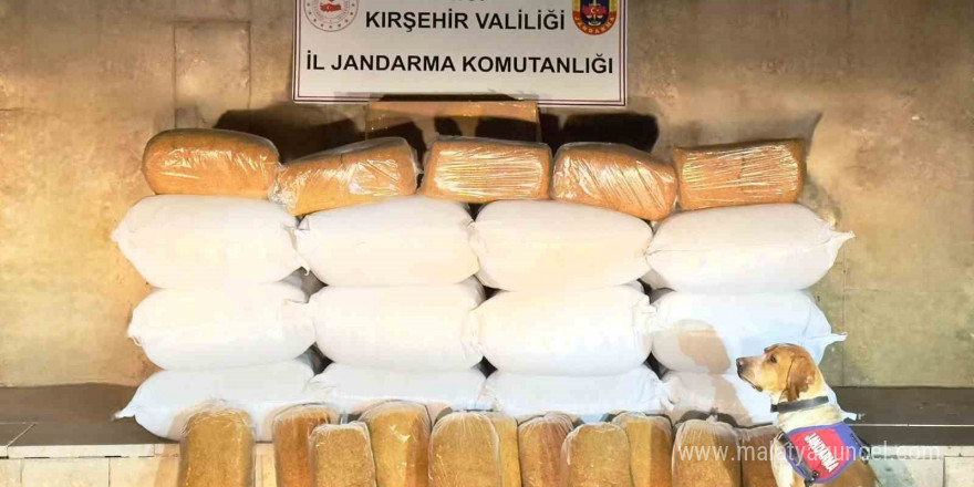 Asayiş