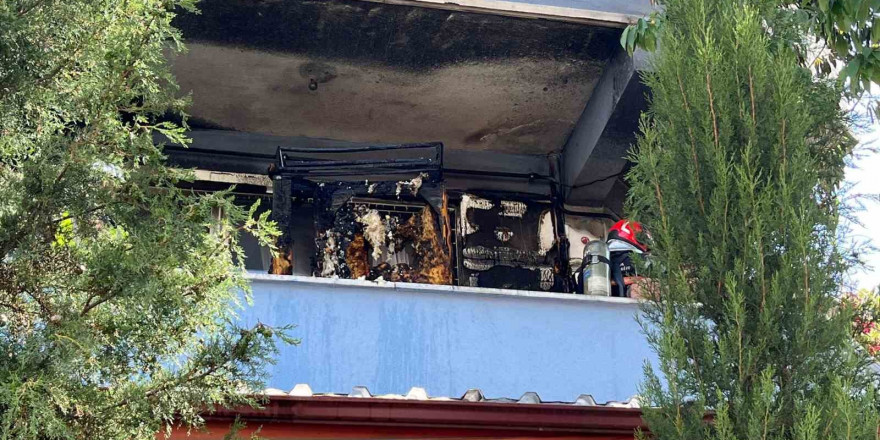 Kümes ısıtıcısı yangın çıkardı: 25 civciv telef oldu