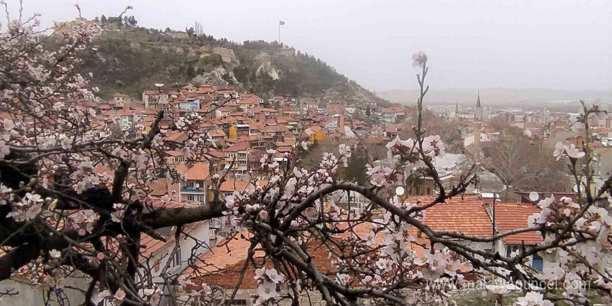 Yaşam