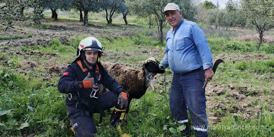 Asayiş