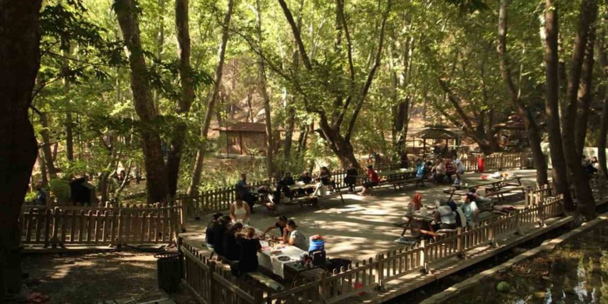 Yaşam
