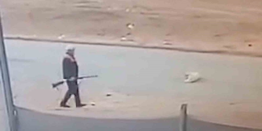 Sokak köpeğini av tüfeğiyle öldürmüştü, serbest bırakıldı