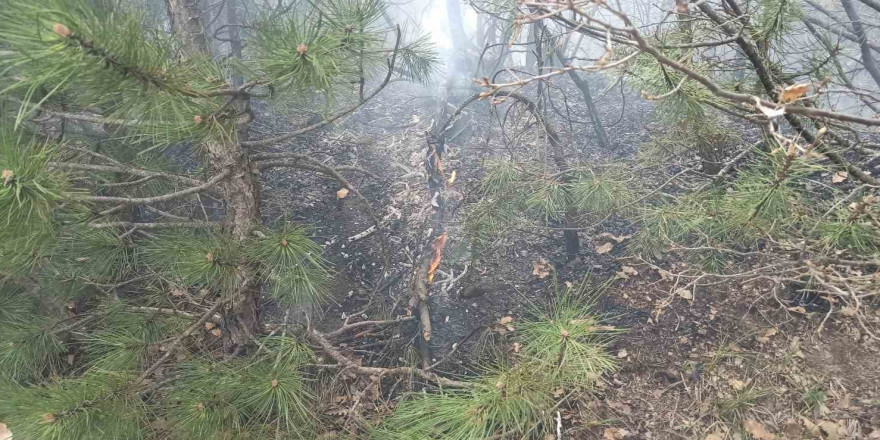 Tokat ormanlık alanda çıkan yangın söndürüldü