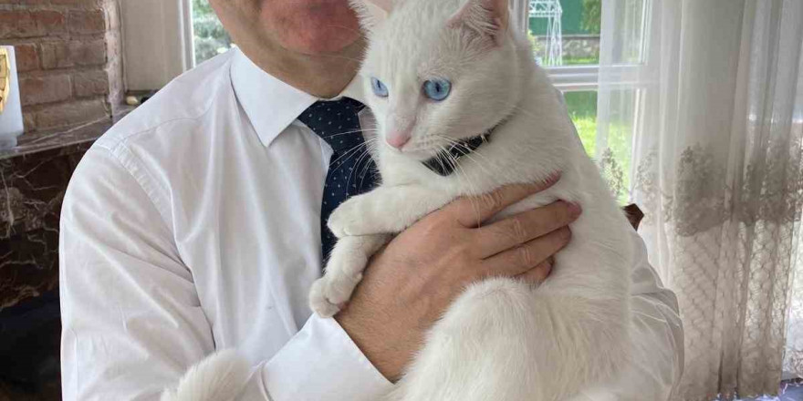 Vali Aksoy veteriner hekimlerin gününü kedisi Pamuk ile kutladı