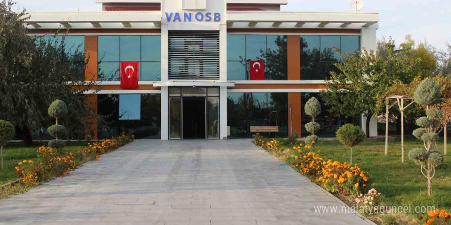 Siyaset