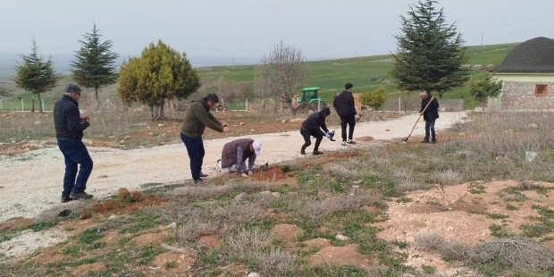 Yaşam