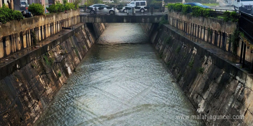 Yaşam