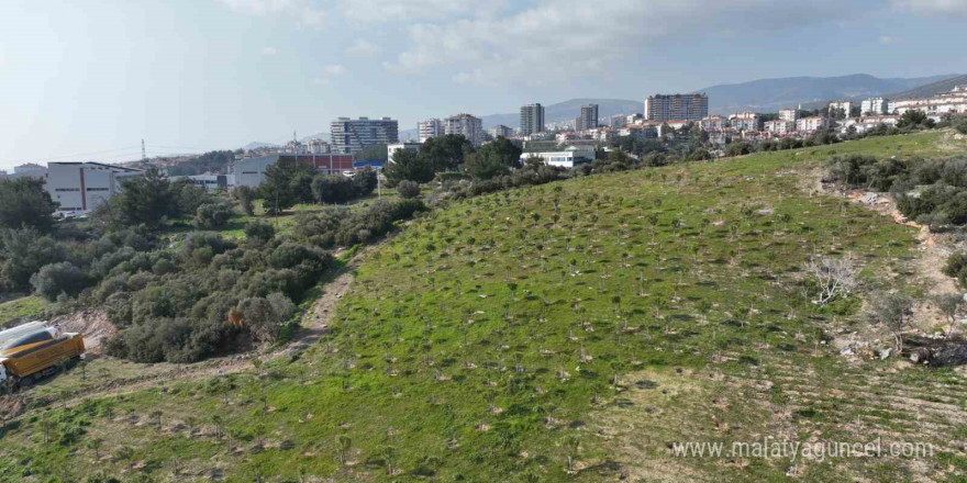 Yaşam