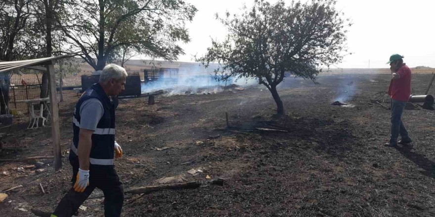 Yangında 500 dönüm tarım arazisi ve 3 ahır zarar gördü