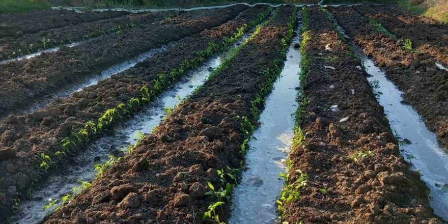 YK Enerji, bin dönümlük tarım arazisinin sulama sorununu çözdü