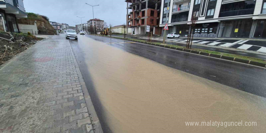 Yaşam