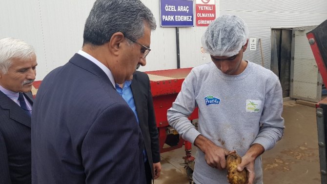 Konya Şeker bir tesis yaptı Konya’da patates üretimi 3’e katlandı