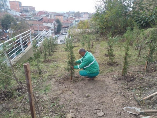 İzmit’te park bahçe çalışmaları devam ediyor