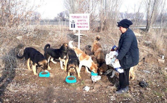 Kırsal alanda köpek besleme noktaları oluşturuluyor