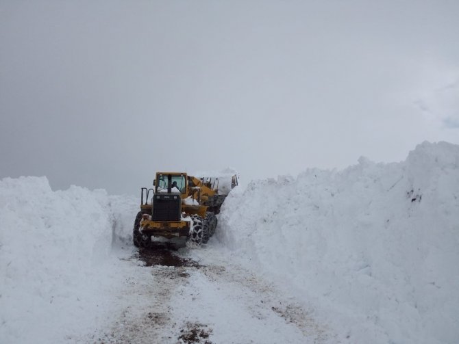 Bingöl’de karla mücadeleye 2,5 milyon TL harcandı