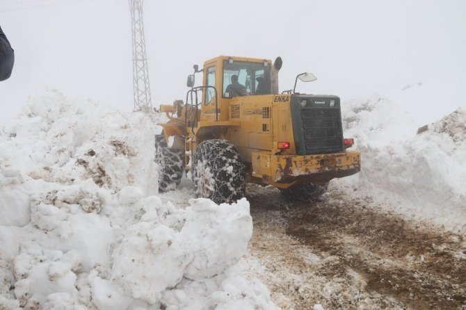 Hizan’da kar kalınlığı 5 metreyi buldu