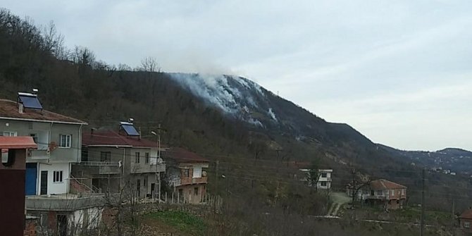 Karadeniz’de orman yangını uyarısı