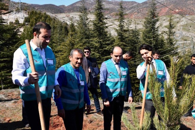 Tunceli’de "Adalet Ormanı" oluşturuldu