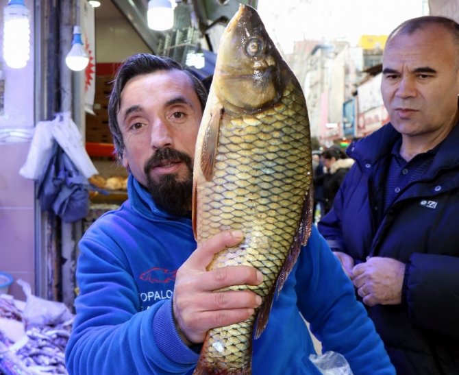 Sezonun son balıkları yerini kültür balıklarına bırakıyor