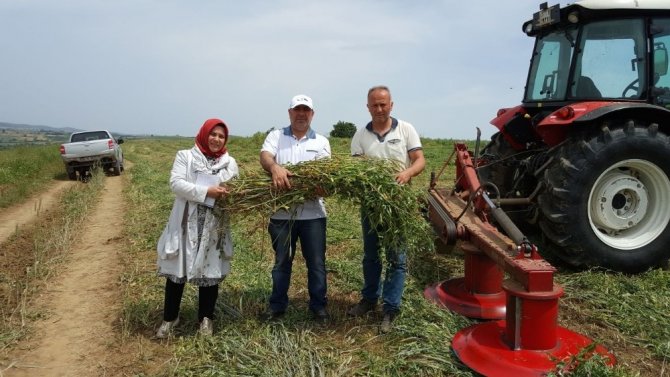 Büyükşehir’den çiftçilere yerli tohum desteği