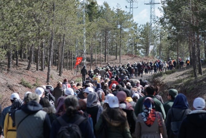 Yüzlerce kişi ormanlar için toplandı