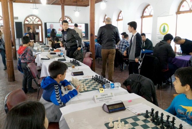 Muğla’da Orman Haftası Satranç Turnuvası