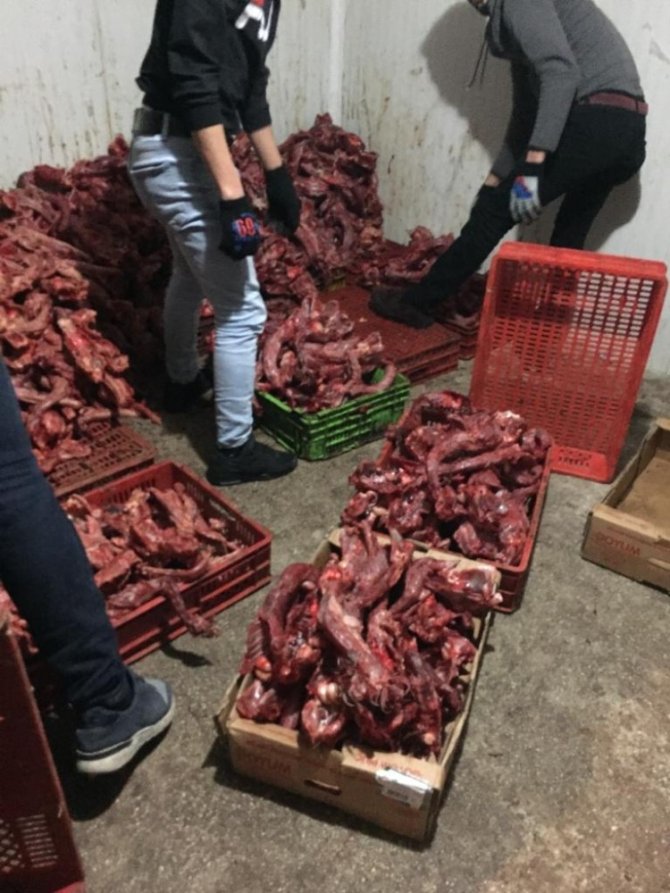 Mersin’de 1 ton kaçak kesilmiş tavuk eti ele geçirildi