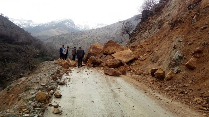 Dev kaylar grup köy yolunu ulaşıma kapattı