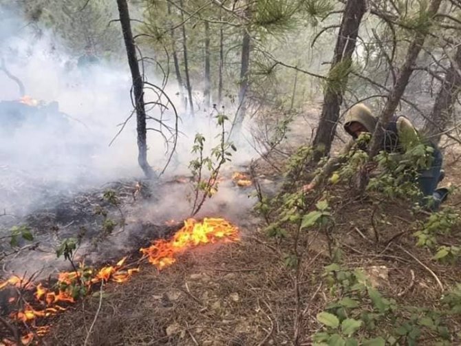 Kütahya’da orman yangını