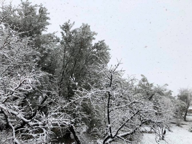 Mut’ta, gece başlayan kar yağışı doğayı beyaza bürüdü