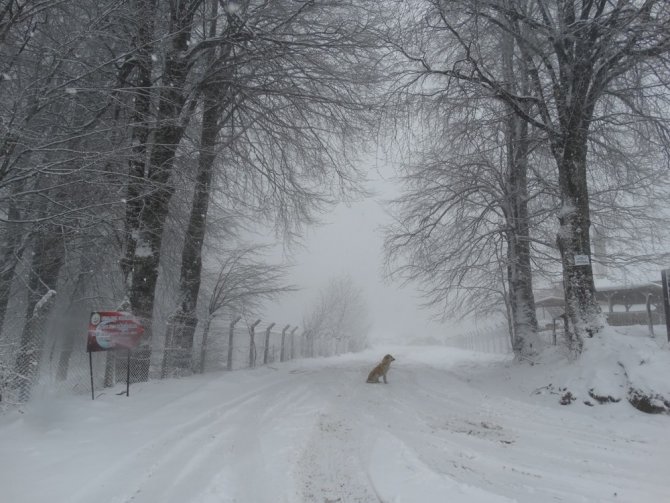 Baharda gelen kar yağışı sürücülere zor anlar yaşattı