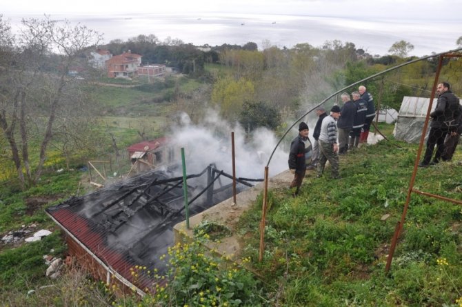 Sinop’ta ahır yangını: 5 hayvan telef oldu