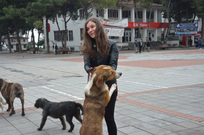 Sokak köpekleri, hayvansever çifte koştu